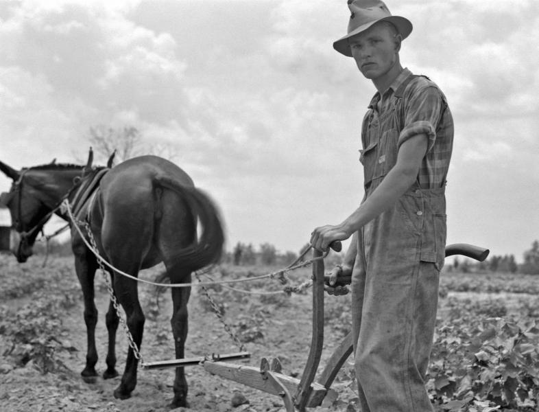 Name:  sharecropping.jpg
Views: 771
Size:  58.9 KB