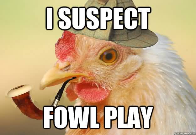 Name:  I-suspect-fowl-play.jpg
Views: 614
Size:  27.2 KB