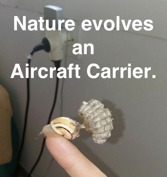 Name:  Natural_Aircraft_Carrier.jpg
Views: 1074
Size:  76.3 KB
