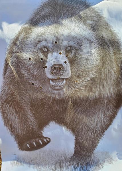 Name:  bear target G22_5 LR170gr.jpg
Views: 163
Size:  51.0 KB