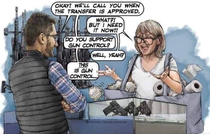 Name:  Gun control.jpg
Views: 861
Size:  51.4 KB