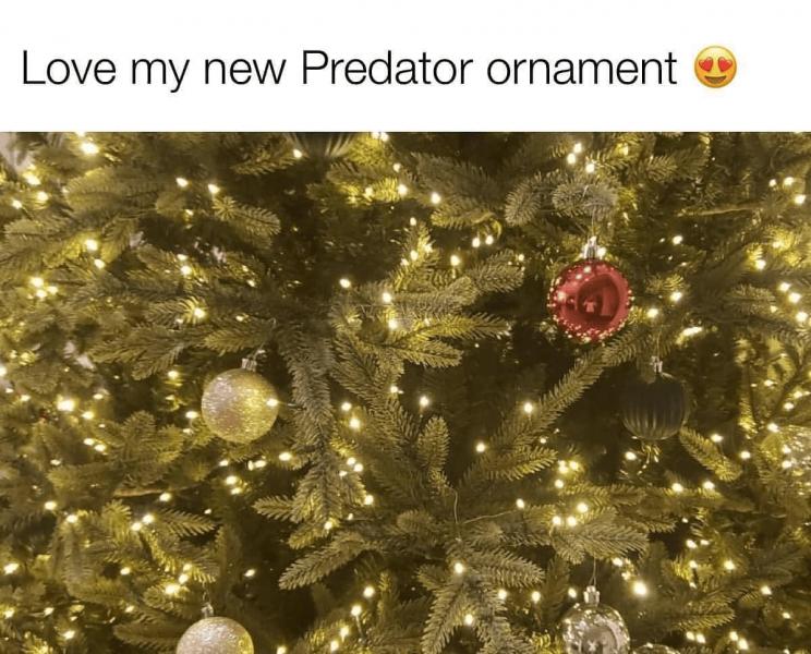 Name:  Predator ornament.jpg
Views: 915
Size:  82.2 KB