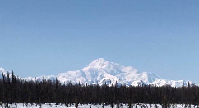 Name:  denali.jpg
Views: 416
Size:  16.1 KB