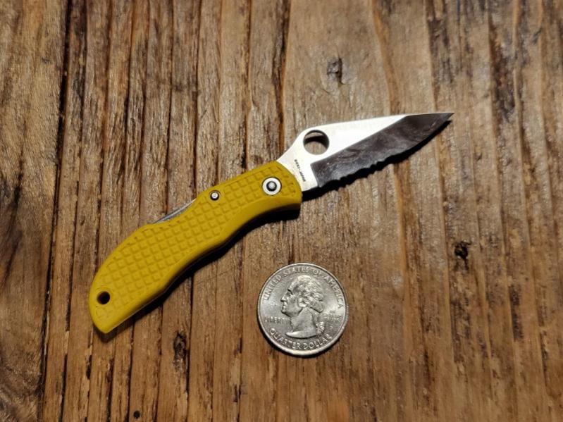 Name:  Small Spyderco.jpg
Views: 371
Size:  83.0 KB