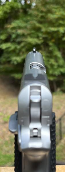 Name:  front sight capture.jpg
Views: 1044
Size:  17.8 KB