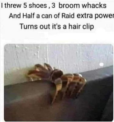 Name:  Meme - spider hair clip.jpg
Views: 608
Size:  18.7 KB