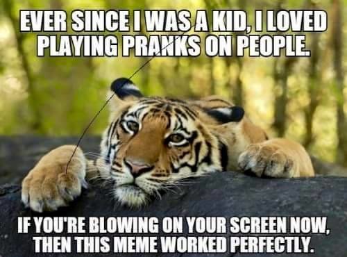 Name:  tiger prank.jpg
Views: 1141
Size:  37.6 KB