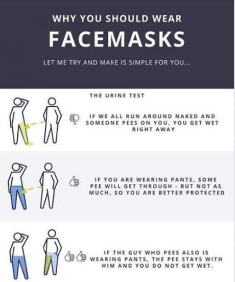 Name:  why facemasks.jpg
Views: 1048
Size:  39.1 KB