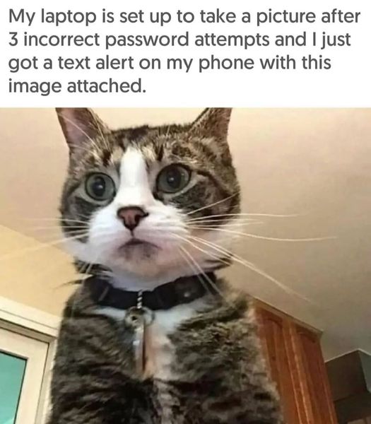 Name:  cat password.jpg
Views: 474
Size:  45.4 KB