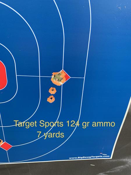 Name:  target-sports-9mm-124gr.jpg
Views: 680
Size:  28.8 KB