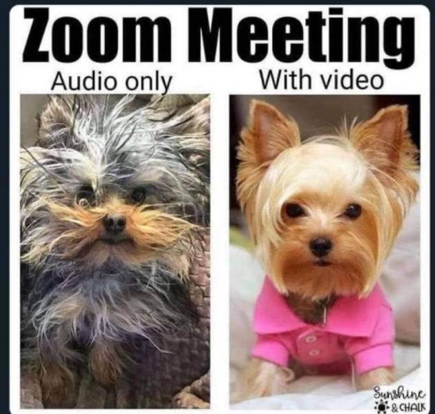 Name:  zoom-meeting.jpg
Views: 955
Size:  60.9 KB