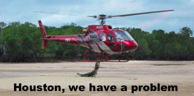 Name:  GatorCopter.jpg
Views: 886
Size:  30.1 KB