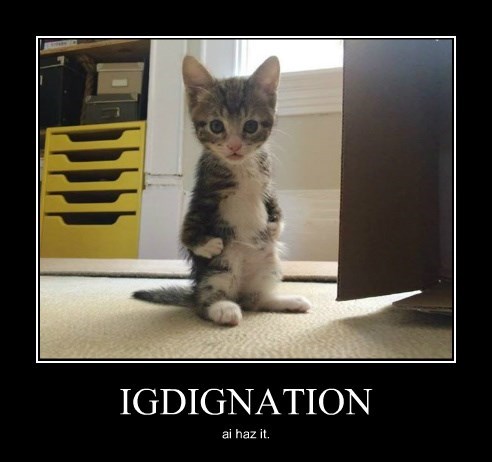 Name:  Igdignation.jpg
Views: 931
Size:  34.0 KB